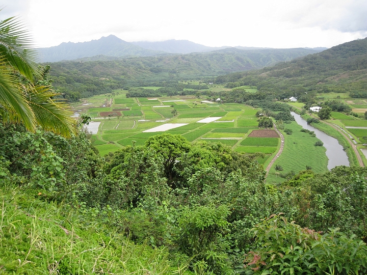 07 driving along route 56.jpg